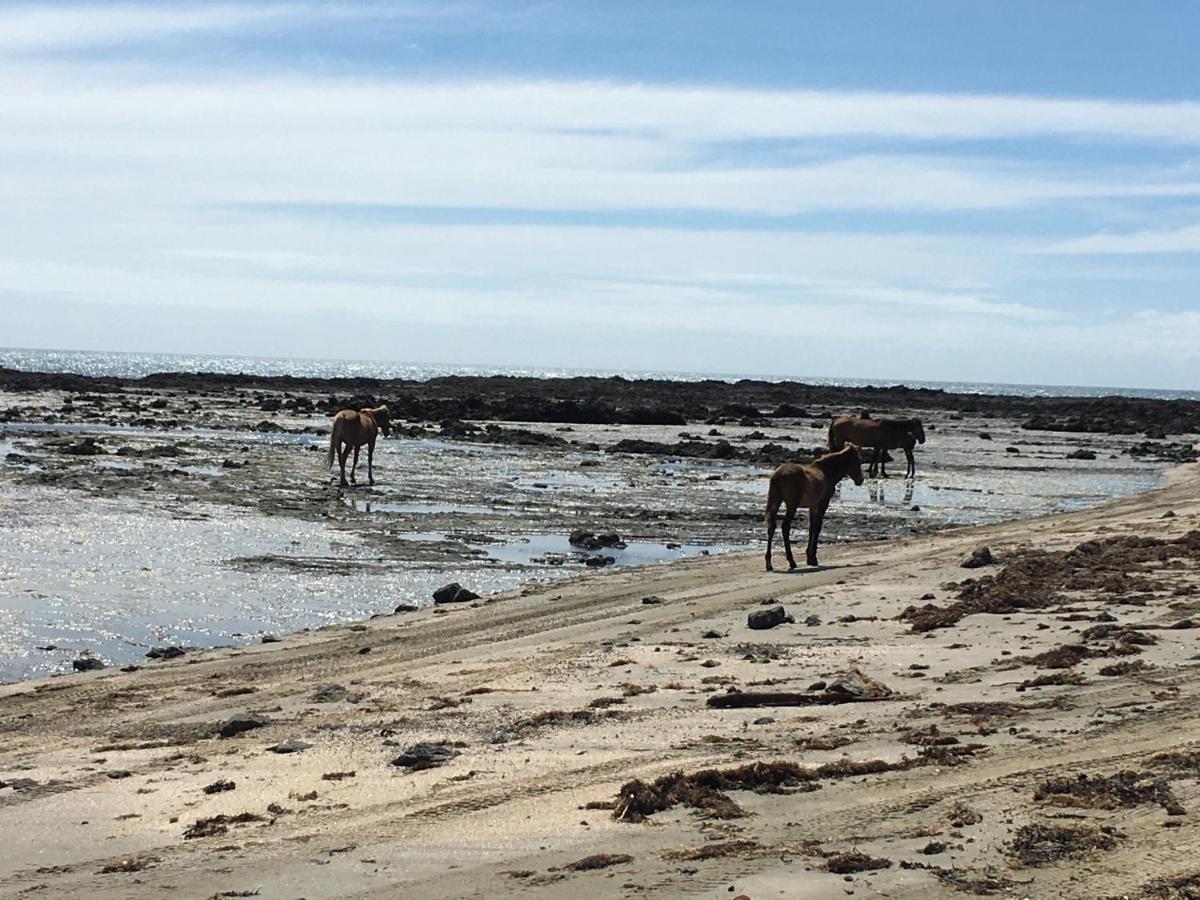 90 Mile Paradise Ahipara Zewnętrze zdjęcie